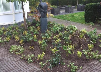 Tuin Heerde ge-update