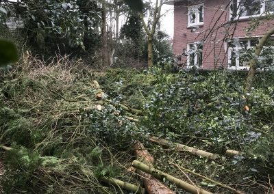 Bomen snoeien Ermelo