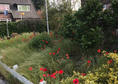 Leeg halen tuin Apeldoorn